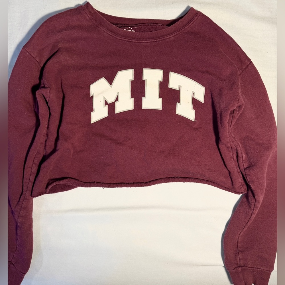MIT Cropped Sweatshirt